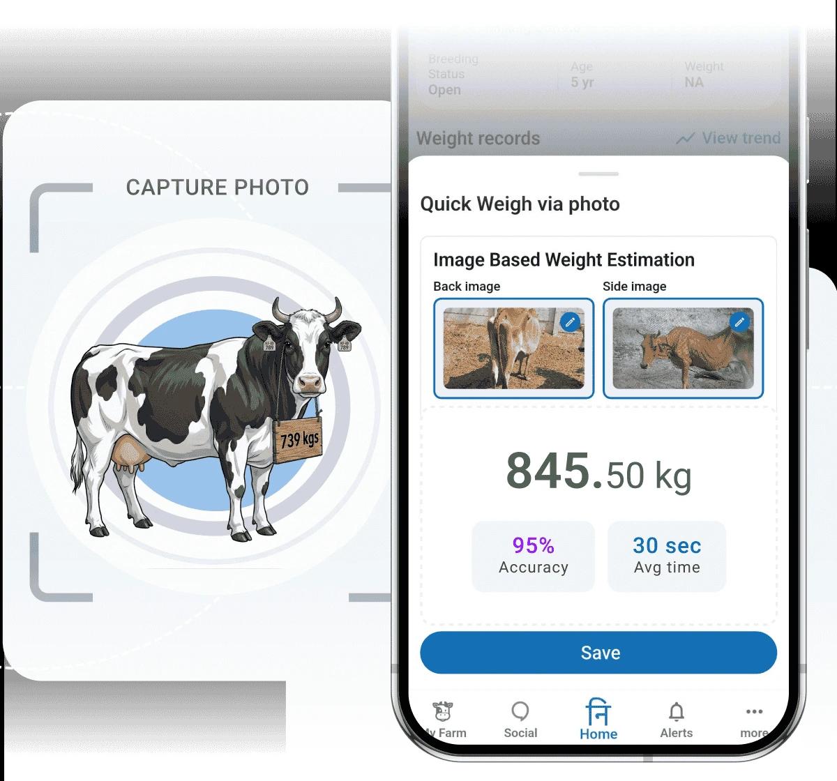 Cattle weight estimation via photo